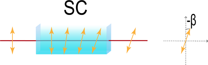 Label Free And Non Destruction Determination Of Single And Double Strand Dna Based On Quantum Weak Measurement Scientific Reports