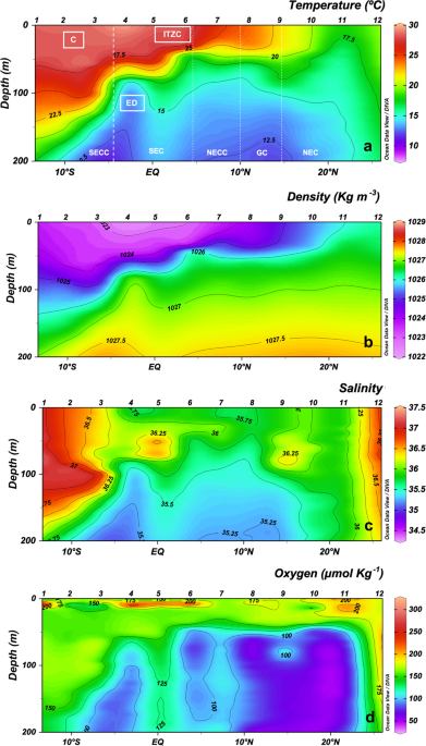 Planktonic Food Web Structure And Trophic Transfer Efficiency Along A Productivity Gradient In The Tropical And Subtropical Atlantic Ocean Scientific Reports