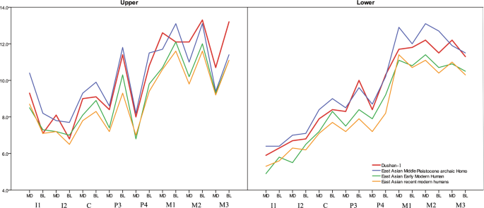 Mosaic dental morphology in a terminal Pleistocene hominin from Dushan Cave in southern China