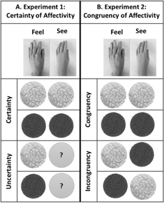 The influence of skin colour on the experience of ownership in the rubber  hand illusion