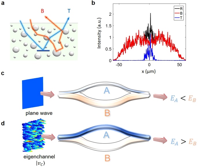 analytic framework for understanding the competing multiple light scattering