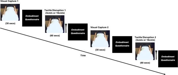 The Effect Of Visual Capture Towards Subjective Embodiment Within The Full Body Illusion Scientific Reports