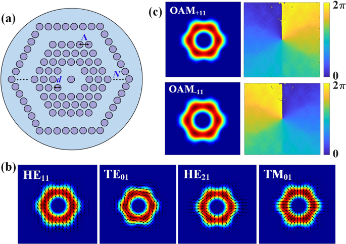 Endlessly mono-radial annular core photonic crystal fiber for the broadband  transmission and supercontinuum generation of vortex beams | Scientific  Reports