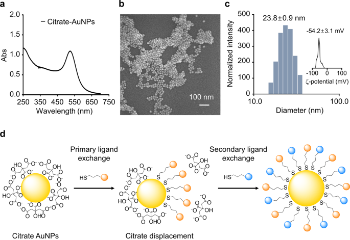 Molecular Origin Of Aunps Induced Cytotoxicity And Mechanistic Study Scientific Reports