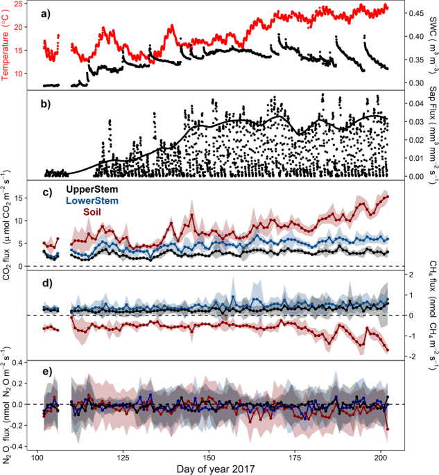 Automated measurements of greenhouse gases fluxes from tree stems and  soils: magnitudes, patterns and drivers | Scientific Reports