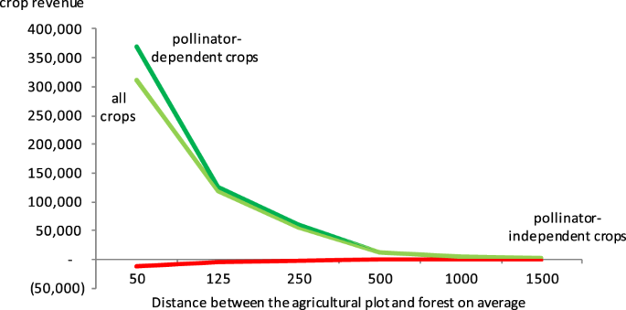 The Value Of Pollinators To The Ecosystem And Our Economy