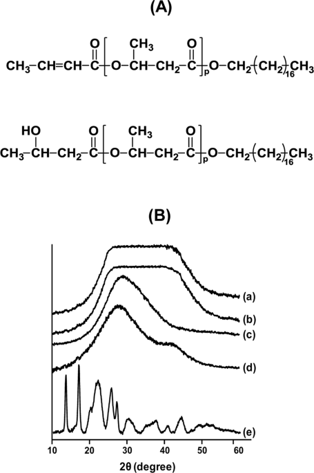Calcium Involved Directional Organization Of Polymer Chains In Polyester Nanogranules In Bacterial Cells Scientific Reports