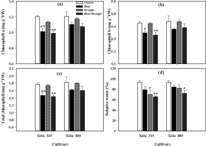 PDF) Effects of the size of sown seed on growth and yield of