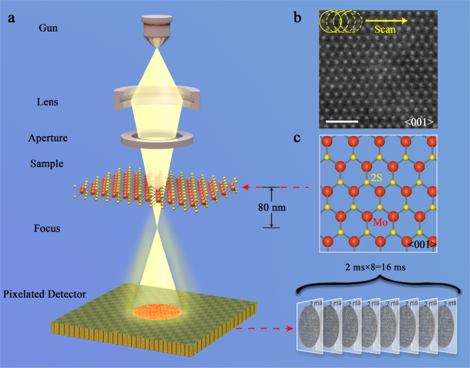 Atomic Resolution Defocused Electron Ptychography at Low Dose with a Fast, Direct Electron Detector | Scientific Reports