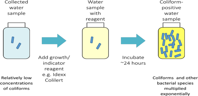 Multi State Study Of Enterobacteriaceae Harboring Extended Spectrum Beta Lactamase And Carbapenemase Genes In U S Drinking Water Scientific Reports