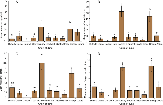 Egg Laying Decisions Based On Olfactory Cues Enhance Offspring Fitness In Stomoxys Calcitrans L Diptera Muscidae Scientific Reports