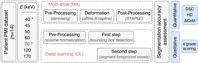 Ids 100 Project 1 Lenses Chart