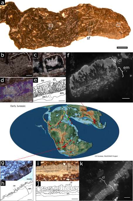 https://media.springernature.com/m685/springer-static/image/art%3A10.1038%2Fs41598-019-40604-8/MediaObjects/41598_2019_40604_Fig1_HTML.png