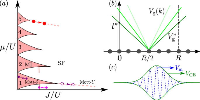 Twofold Correlation Spreading In A Strongly Correlated Lattice Bose Gas Scientific Reports