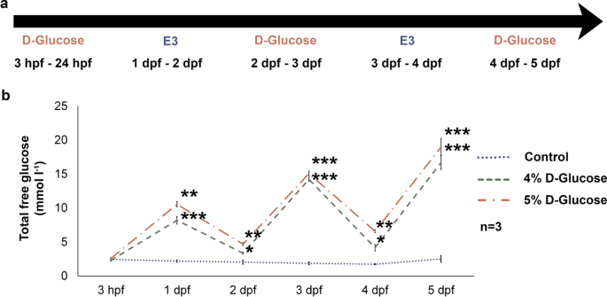 high glucose levels affect retinal patterning during internet timeline