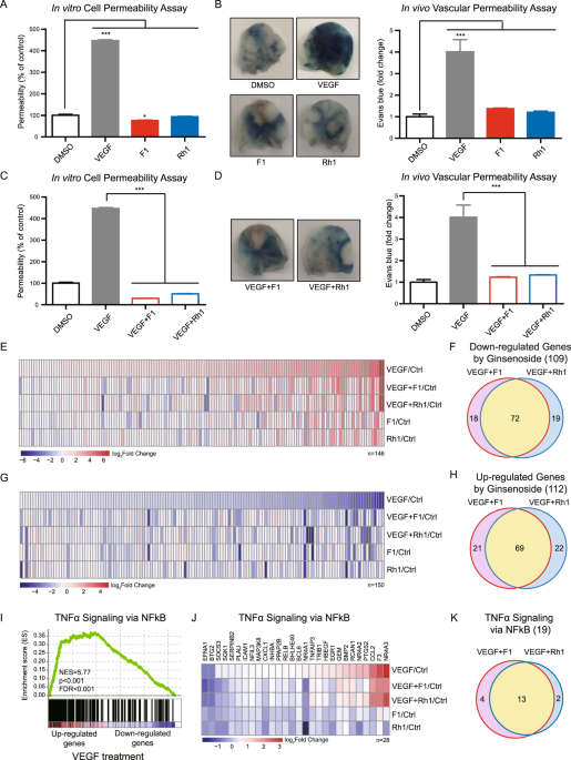 Frontiers  Mucilaginibacter sp. K Improves Growth and Induces