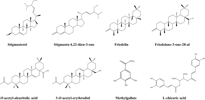Anti Hiv 1 Integrase Potency Of Methylgallate From Alchornea Cordifolia Using In Vitro And In Silico Approaches Scientific Reports