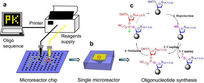 An Oligonucleotide Synthesizer Based On A Microreactor Chip And An Inkjet Printer Scientific Reports