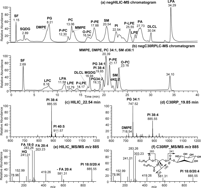 Targeting Modified Lipids During Routine Lipidomics Analysis Using Hilic And C30 Reverse Phase Liquid Chromatography Coupled To Mass Spectrometry Scientific Reports