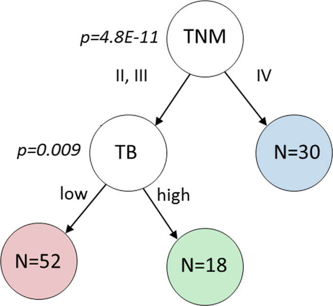 Automated Tumour Budding Quantification By Machine Learning Augments Tnm Staging In Muscle Invasive Bladder Cancer Prognosis Scientific Reports