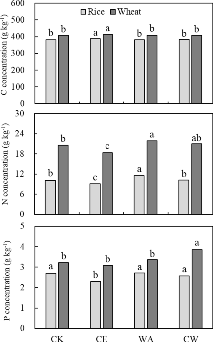 Changes In Plant C N And P Ratios Under Elevated Co 2 And Canopy Warming In A Rice Winter Wheat Rotation System Scientific Reports Changes In Plant C N And P Ratios Under Elevated Co 2 And Canopy Warming In A Rice Winter Wheat Rotation System Scientific Reports