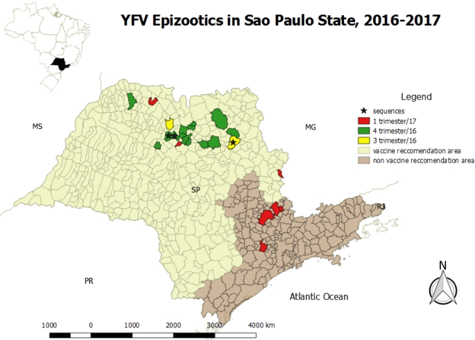 Origin of the São Paulo Yellow Fever epidemic of 2017–2018 revealed through  molecular epidemiological analysis of fatal cases