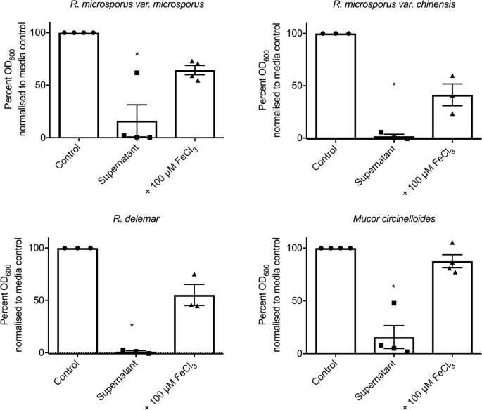 Pseudomonas aeruginosa inhibits Rhizopus microsporus germination