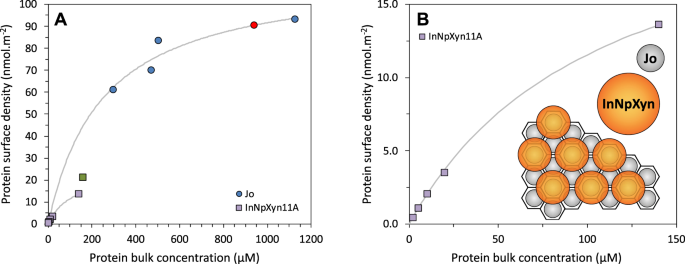 Changing Surface Grafting Density Has An Effect On The Activity Of Immobilized Xylanase Towards Natural Polysaccharides Scientific Reports