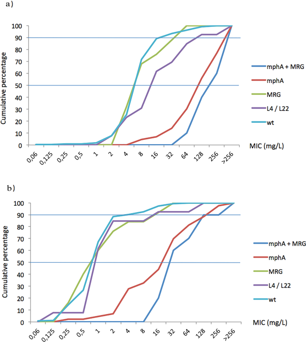 Azithromycin resistance levels and mechanisms in Escherichia coli