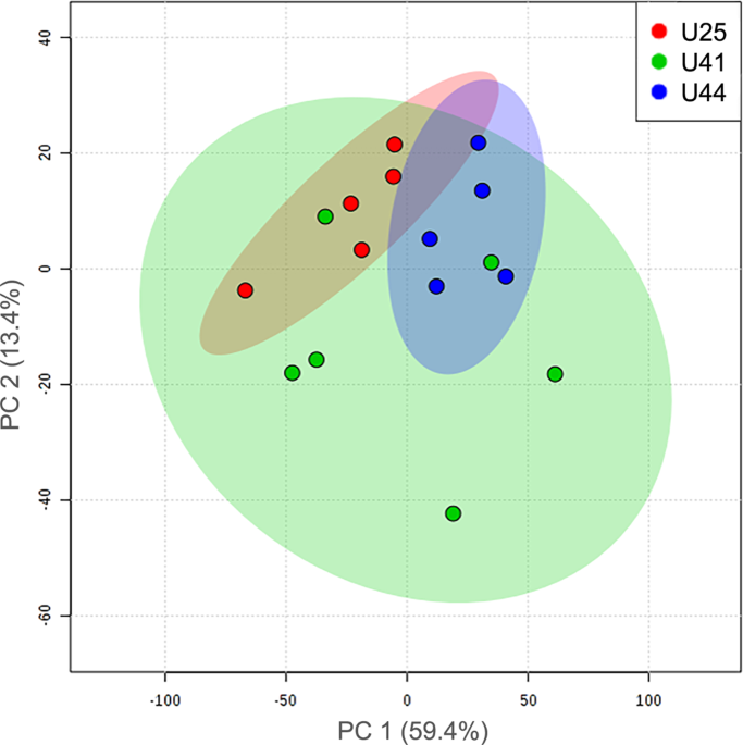 Metabolomic profiles differ among unique genotypes of a threatened Caribbean coral