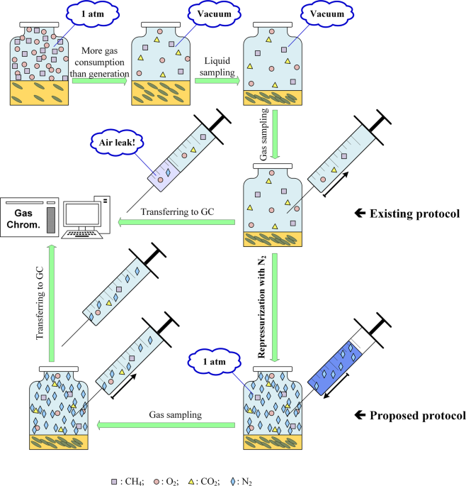 Two Experimental Protocols For Accurate Measurement Of Gas Component Uptake And Production Rates In Bioconversion Processes Scientific Reports