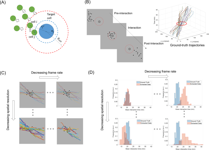 Spatial resolution meets temporal resolution – Tescan UniTOM HR - 2021 -  Wiley Analytical Science