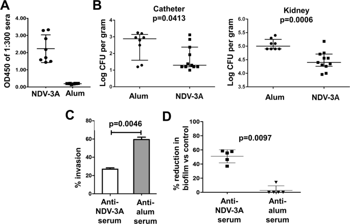 Ndv-3a vaccination prevents c. Albicans colonization of jugular vein catheters in mice
