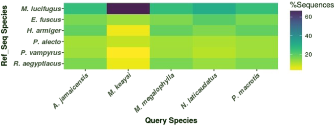 De Novo Transcriptome Assembly and Functional Annotation in Five Species of  Bats