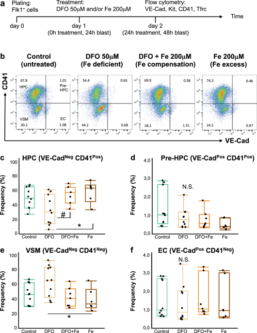 Iron deficiency disrupts embryonic haematopoiesis but not the endothelial to haematopoietic transition
