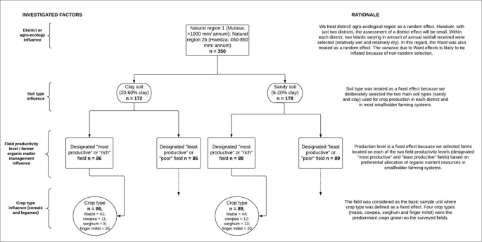 Fertilizer Management And Soil Type Influence Grain Zinc And Iron Concentration Under Contrasting Smallholder Cropping Systems In Zimbabwe Scientific Reports