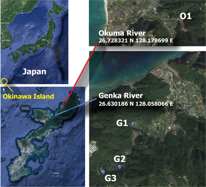 Environmental Dna Metabarcoding To Detect Pathogenic Leptospira And Associated Organisms In Leptospirosis Endemic Areas Of Japan Scientific Reports