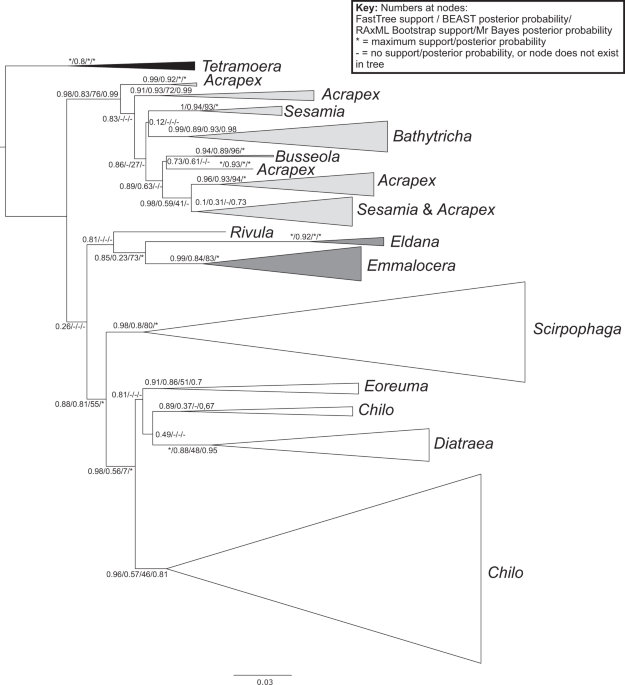 Towards A Global Dna Barcode Reference Library For Quarantine Identifications Of Lepidopteran Stemborers With An Emphasis On Sugarcane Pests Scientific Reports Towards A Global Dna Barcode Reference Library For Quarantine Identifications Of Lepidopteran Stemborers With An Emphasis On Sugarcane Pests Scientific Reports