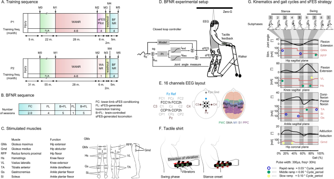 Non-invasive, Brain-controlled Functional Electrical Stimulation