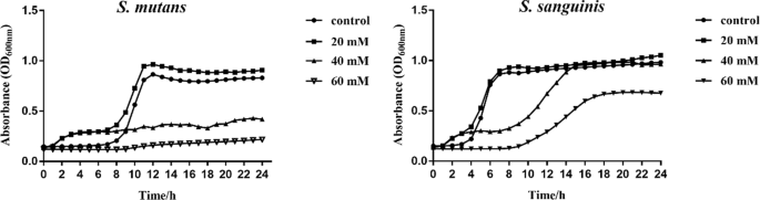 Effect Of D Cysteine On Dual Species Biofilms Of Streptococcus Mutans And Streptococcus Sanguinis Scientific Reports