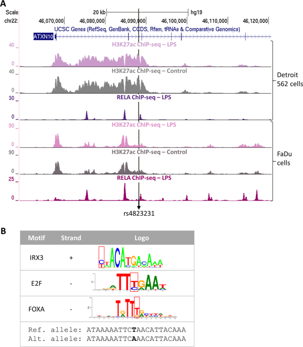 Identification Of Regulatory Variants Associated With Genetic Susceptibility To Meningococcal Disease Scientific Reports