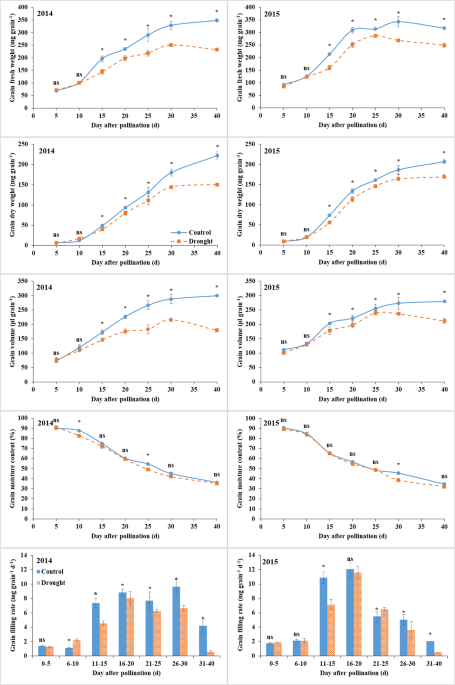 Activities of starch synthetic enzymes and contents of endogenous 