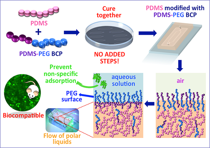 Multifunctional Surface Modification of PDMS for Antibacterial Contact  Killing and Drug-Delivery of Polar, Nonpolar, and Amphiphilic Drugs