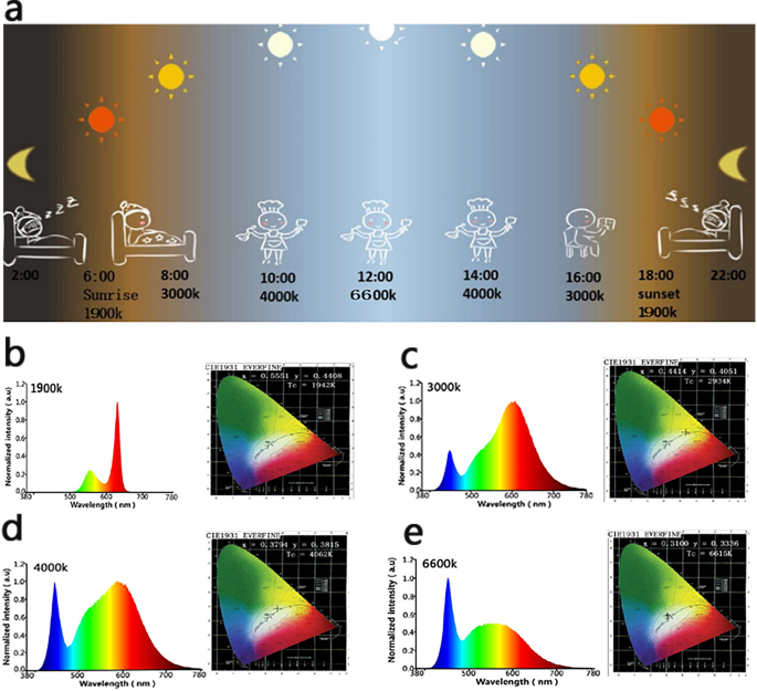 jord hage hundehvalp Several biological benefits of the low color temperature light-emitting  diodes based normal indoor lighting source | Scientific Reports