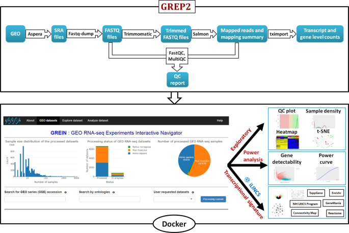 GREIN: An Interactive Web Platform for Re-analyzing GEO RNA-seq Data