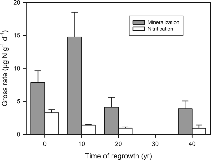 Evolution of nitrogen cycling in regrowing Amazonian rainforest |  Scientific Reports