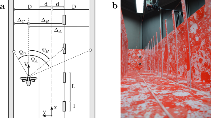 Supine Position Dimensions & Drawings