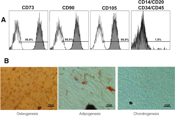 Comparison of diffusion, cytotoxicity and tissue inflammatory reactions of  four commercial bleaching products against human dental pulp stem cells |  Scientific Reports