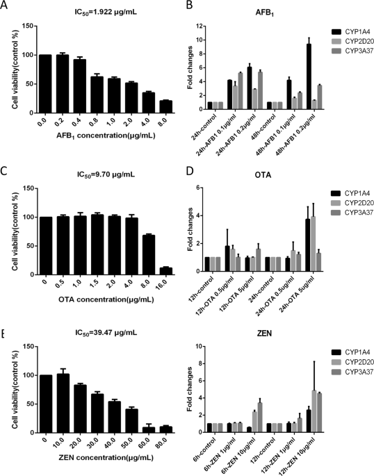Variable protein homeostasis in housekeeping and non-housekeeping pathways under mycotoxins stress