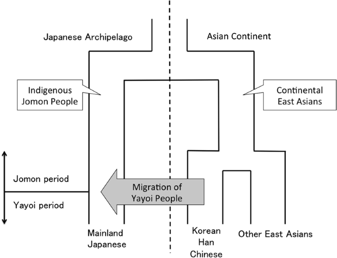 Analysis Of Whole Y Chromosome Sequences Reveals The Japanese Population History In The Jomon Period Scientific Reports
